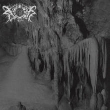 Xasthur (2LP) | Mint (M) Mint (M)