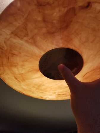 The Lost Boy | Mint (M) Mint (M)