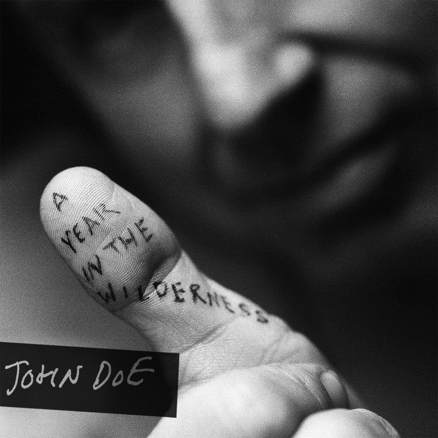 Doe, John - A Year In The Wilderness (CD) |