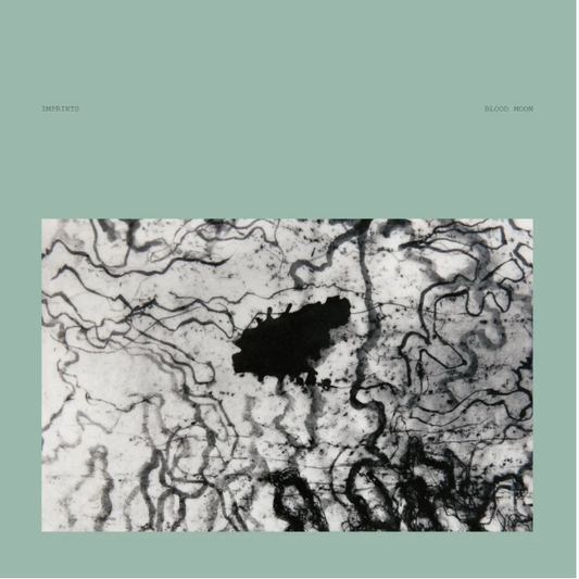 (PRE-ORDER 12/19/2025) Blood Moon (2xLP Translucent Green Marble) | - ABMIENT *NEW/COLOR*