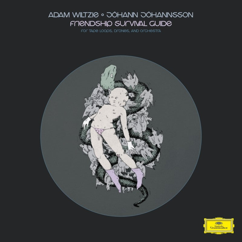 Adam Wiltzie/Johann Johannsson - Friendship Survival Guide [CD] |