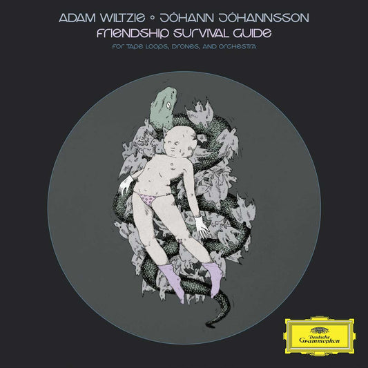 Adam Wiltzie/Johann Johannsson - Friendship Survival Guide [LP] |