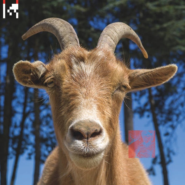 .dev (2xVINYL) | - TECH HOUSE *SEALED*