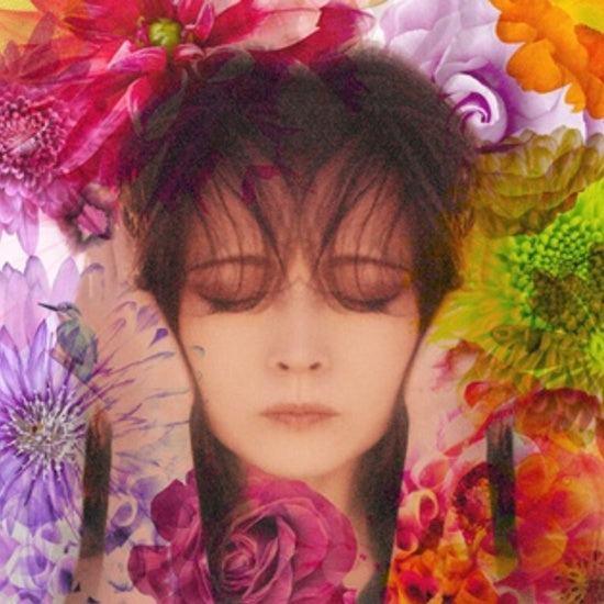 Akina Nakamori - Fixer |