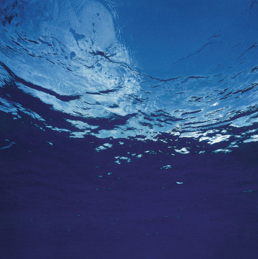 Marine Flowers |