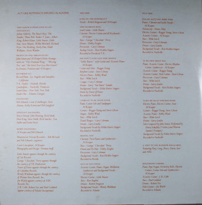 Act Like Nothing's Wrong | Near Mint (NM) Very Good Plus (VG+) - ROCK / USED *NEAR MINT*