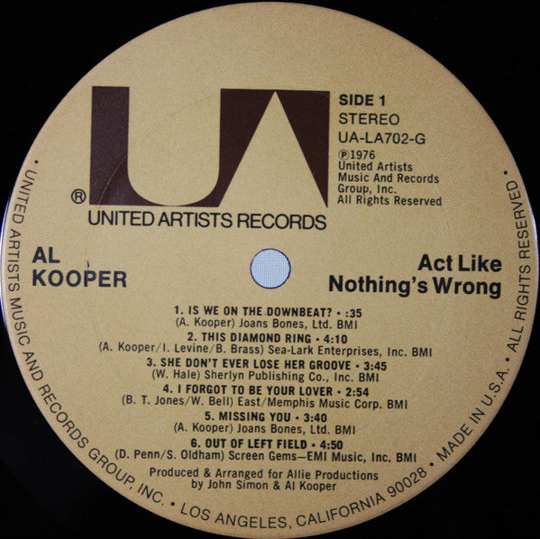 Act Like Nothing's Wrong | Near Mint (NM) Very Good Plus (VG+) - ROCK / USED *NEAR MINT*