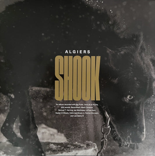 Shook | Mint (M) Mint (M) - POST PUNK *NEW*