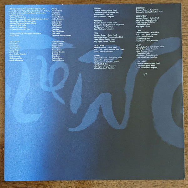 Devendra Banhart - Flying Wig (Ltd Blue Vinyl) | Mint (M) Mint (M) - ALT/INDIE *NEW/COLOR*