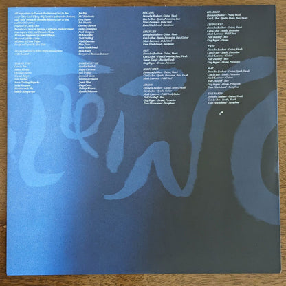 Devendra Banhart - Flying Wig (Ltd Blue Vinyl) | Mint (M) Mint (M) - ALT/INDIE *NEW/COLOR*