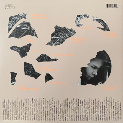 Mitski - The Land Is Inhospitable And So Are We | Mint (M) Mint (M) - ALT/INDIE *COLOR*