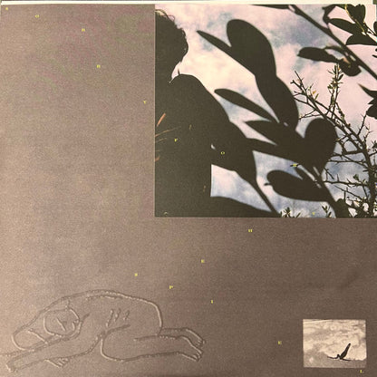 Spiel | Mint (M) Mint (M) - ALT/INDIE *COLOR*