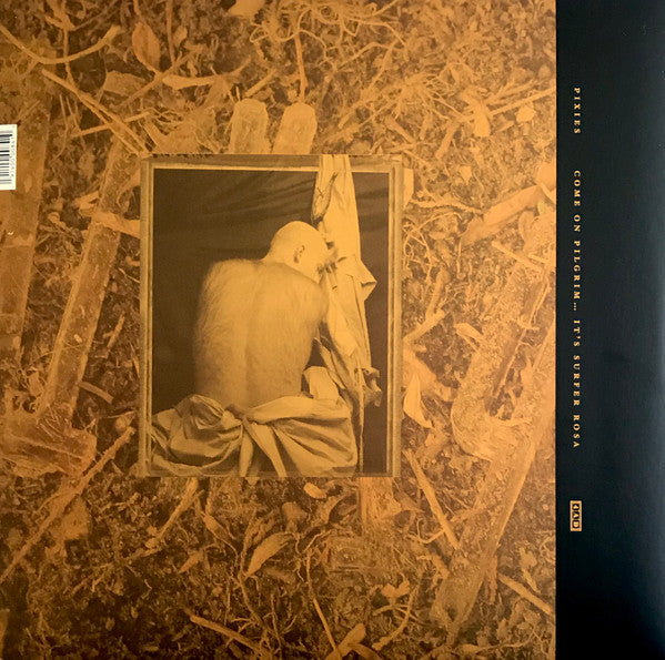 Come On Pilgrim... It's Surfer Rosa: 30th Anniversary (GOLD VINYL) | Mint (M) Mint (M) - ALT/INDIE/ROCK *SEALED/COLOR*
