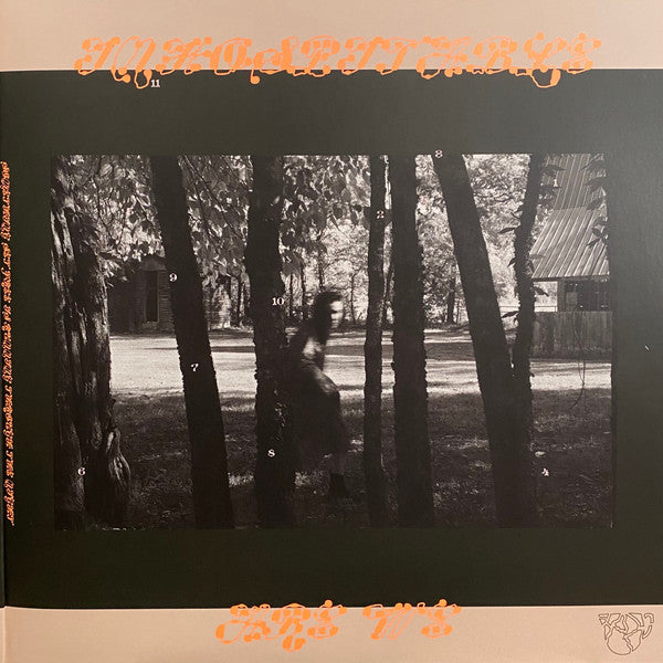 Mitski - The Land Is Inhospitable And So Are We | Mint (M) Mint (M) - ALT/INDIE *COLOR*