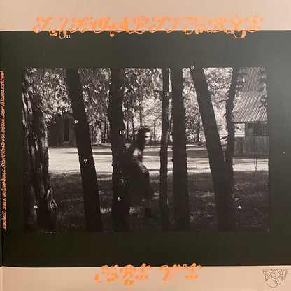 Mitski - The Land Is Inhospitable And So Are We | Mint (M) Mint (M) - ALT/INDIE *COLOR*