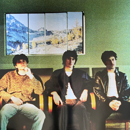 Wallows - Model (CLEAR VINYL) | Mint (M) Mint (M) - ALT/INDIE *SEALED/CLEAR*