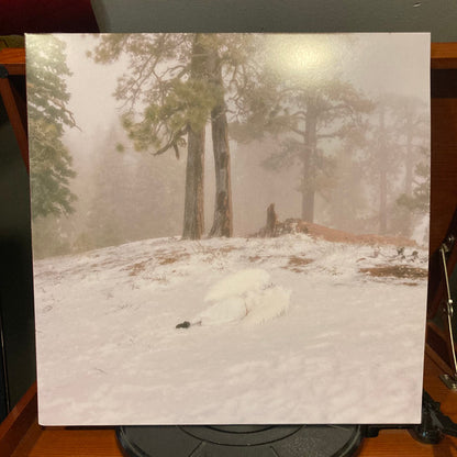 Pandora (MILKY CLEAR VINYL) | Mint (M) Mint (M) - ALT/INDIE *SEALED/CLEAR*