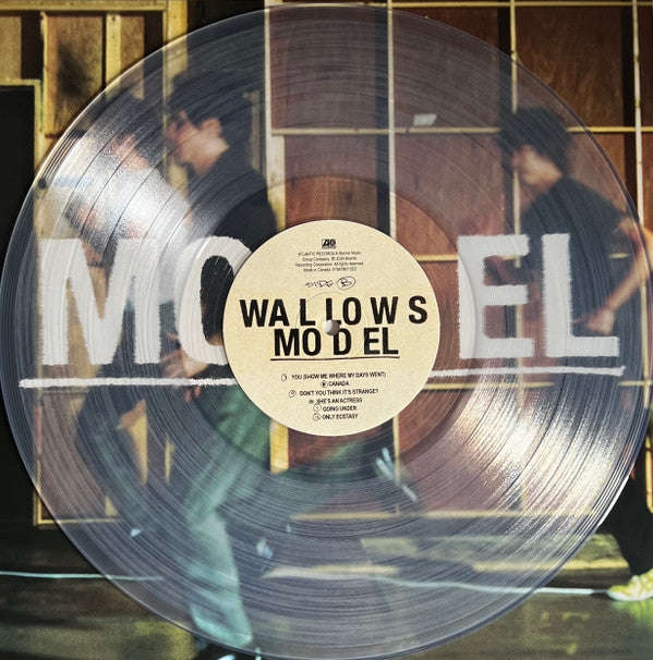 Wallows - Model (CLEAR VINYL) | Mint (M) Mint (M) - ALT/INDIE *SEALED/CLEAR*