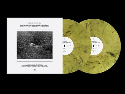 (PRESALE 5/22/26) Pruning of the Lower Limbs (HIGHLIGHTER SMOKE 2xVINYL) | Mint (M) Mint (M) - ALT/INDIE *NEW/COLOR*