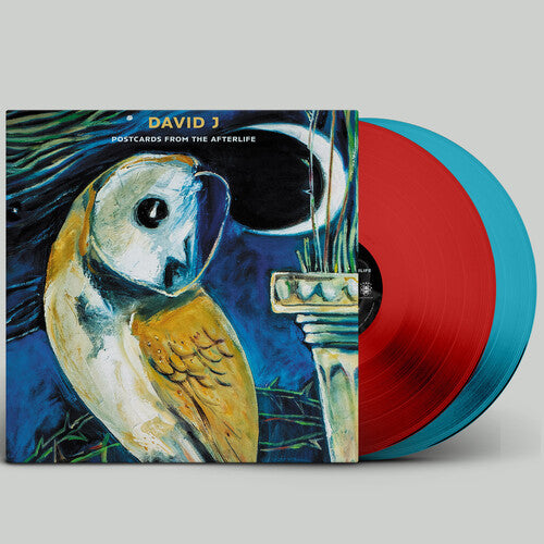 David J - (PRESALE 11/27/26) Postcards From the Afterlife (COLOR VINYL 2xLP) | NEW - ALT/INDIE *NEW/COLOR*