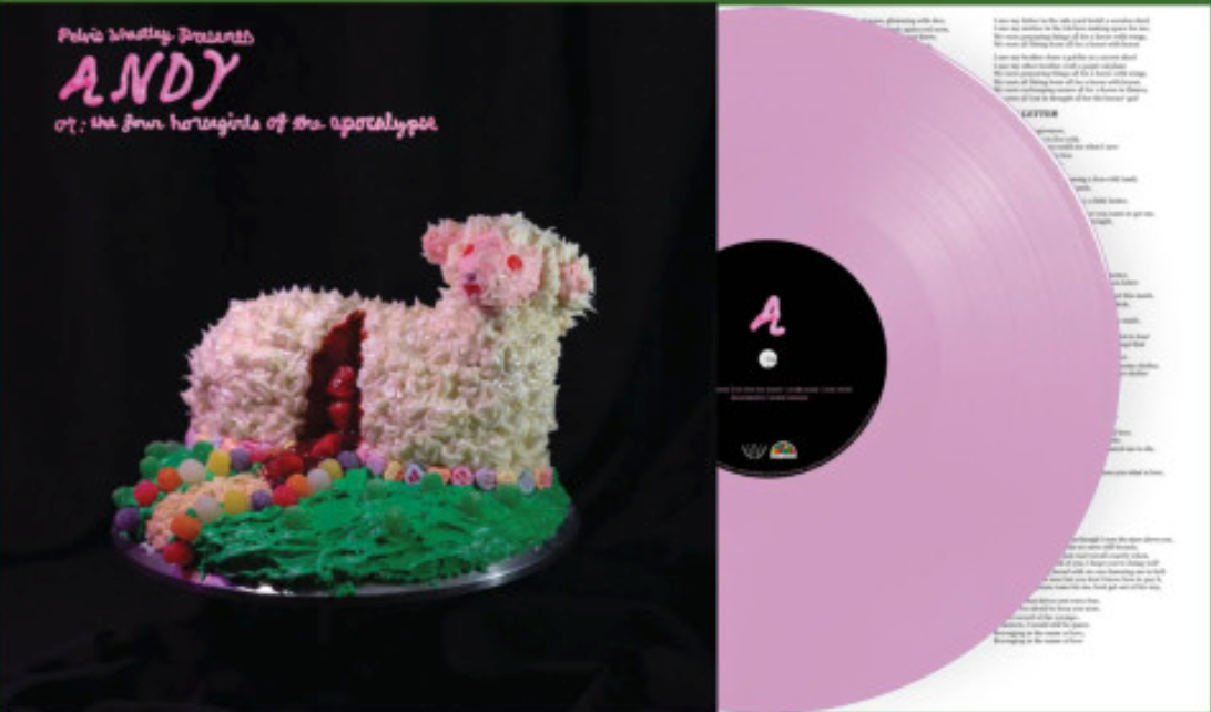 Andy, Or: The Four Horsegirls Of The Apocalypse (Pink Frosting VINYL) | Mint (M) Mint (M) - ALT/INDIE *NEW/COLOR*