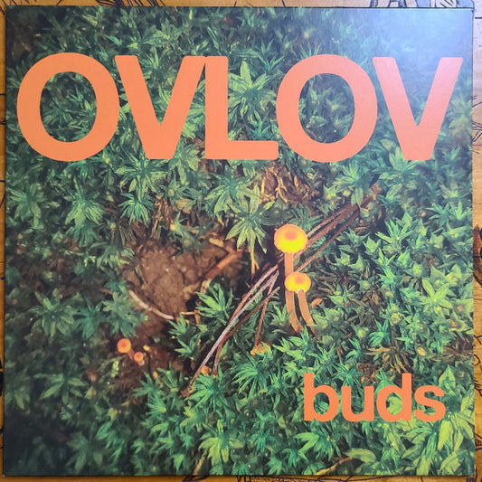 Buds (ORANGE VINYL) | Mint (M) Mint (M) - ALT/INDIE *NEW/COLOR*