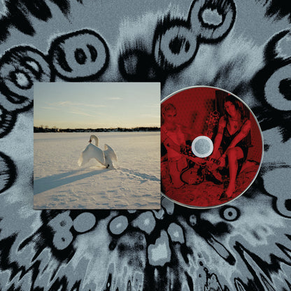 Sour Widows - (PRESALE 10/23/26) Sigil (GREEN GOBLIN VINYL LP) | NEW - ALT/INDIE *NEW/COLOR*