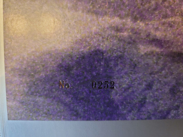 The Acid Gospel Experience (CLEAR 2xVINYL RSD) | - ALT/INDIE *NEW/COLOR*