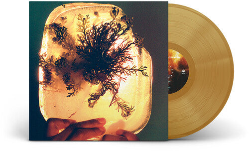 L'Rain - (PRESALE 8/14/26) Fata Morgana (IEX COLORED VINYL LP MEXICAN SUMMER 2026) | NEW Mint (M) Mint (M) - ALT/INDIE *NEW/COLOR*