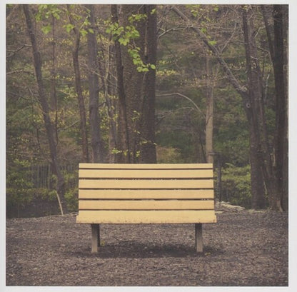 Streetlight Manifesto - (PRESALE 7/24/26) The Hands That Thieve (WHITE VINYL) | Mint (M) Mint (M) - ALT/INDIE *NEW/COLOR*