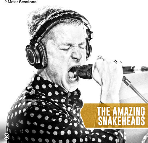 The Amazing Snakeheads - (PRESALE 10/9/26) 2 Meter Sessions - Gold (DLX LMTD GOLD VINYL LP) | NEW - ALT/INDIE *NEW/COLOR*