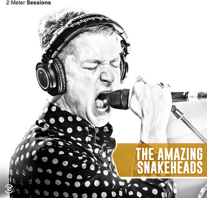 The Amazing Snakeheads - (PRESALE 10/9/26) 2 Meter Sessions - Gold (DLX LMTD GOLD VINYL LP) | NEW - ALT/INDIE *NEW/COLOR*