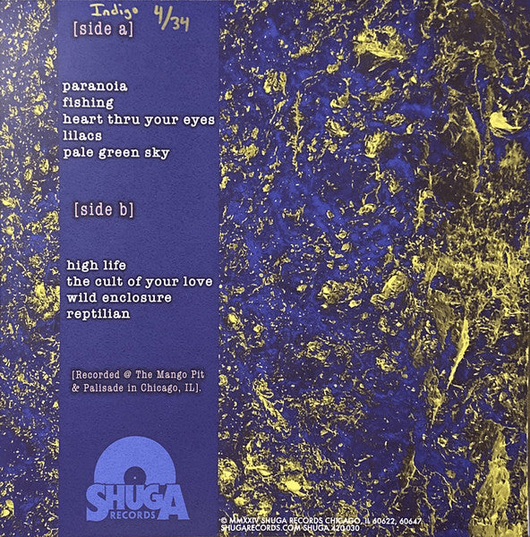 Dream Noise (INDIGO) | Mint (M) Mint (M) - ALT/INDIE *NEW/COLOR*