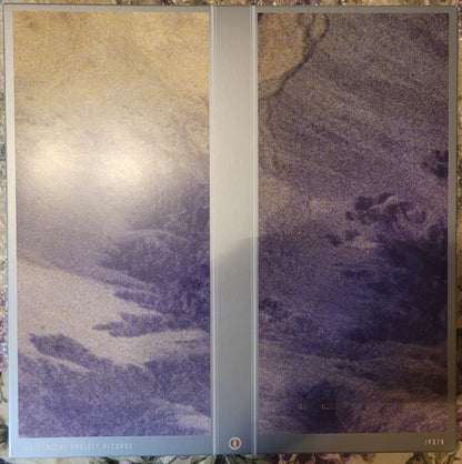 The Acid Gospel Experience (CLEAR 2xVINYL RSD) | - ALT/INDIE *NEW/COLOR*