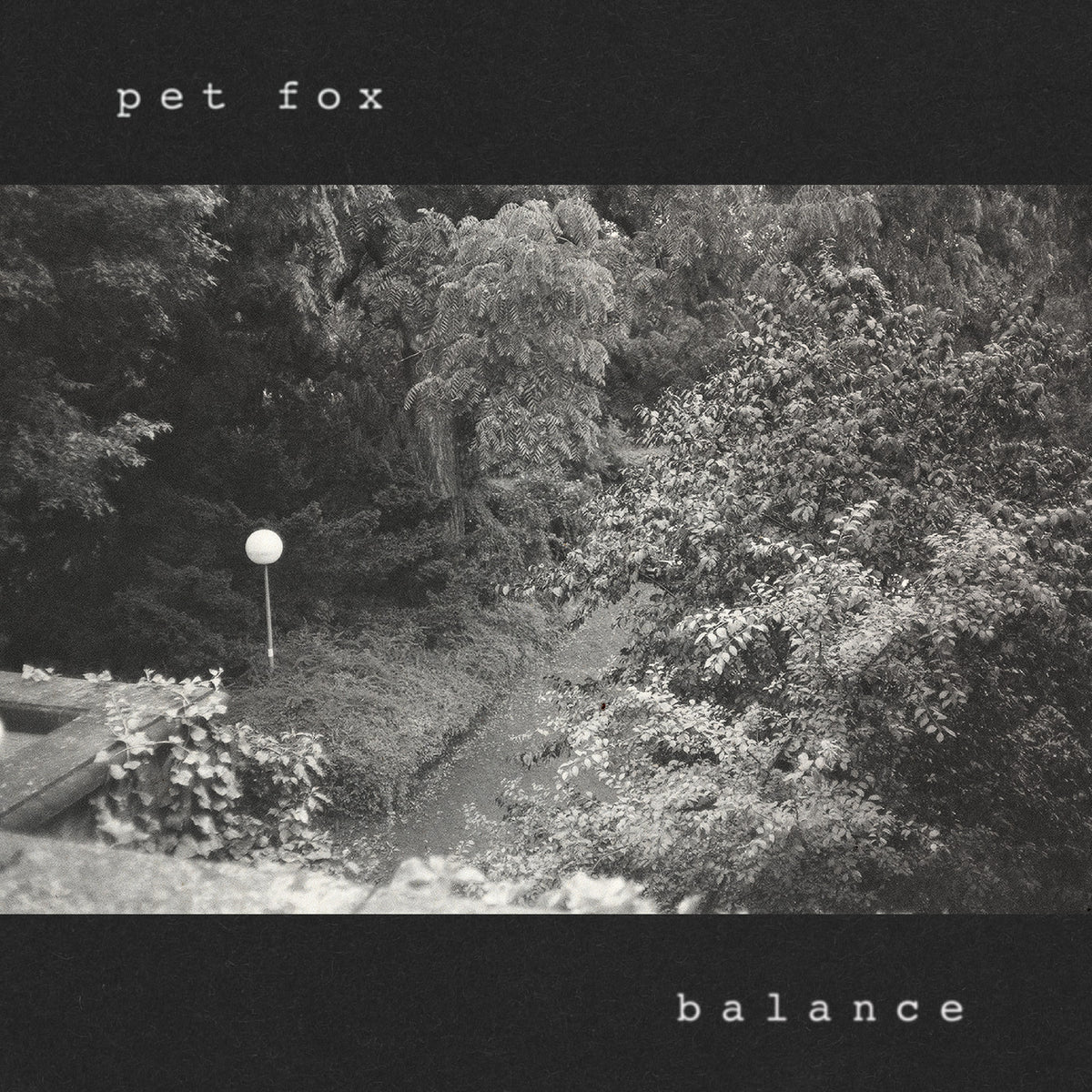 Pet Fox - (PRESALE 10/23/26) Balance (COBWEB COLORED VINYL LP) | NEW - ALT/INDIE *NEW/COLOR*