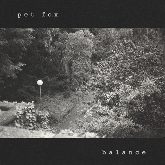 Pet Fox - (PRESALE 10/23/26) Balance (COBWEB COLORED VINYL LP) | NEW - ALT/INDIE *NEW/COLOR*