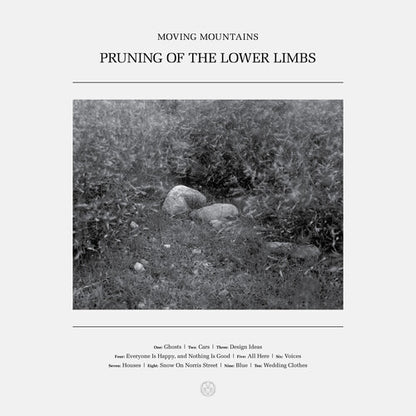 (PRESALE 5/22/26) Pruning of the Lower Limbs (HIGHLIGHTER SMOKE 2xVINYL) | Mint (M) Mint (M) - ALT/INDIE *NEW/COLOR*