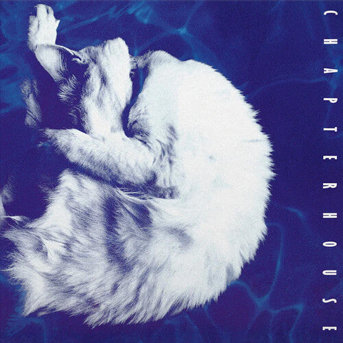 (PRE ORDER 3/6/26) Whirlpool (WHITE VINYL) | - ALT/INDIE *NEW/COLOR*