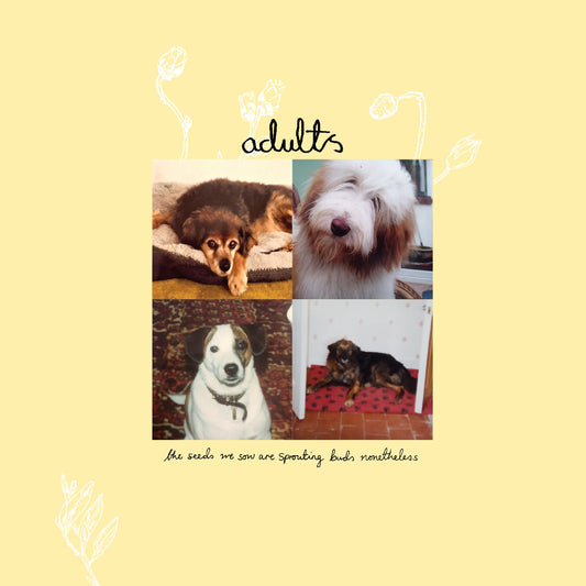 Adults (5) - (PRE-ORDER 12/12/25) The Seeds We Sow Are Sprouting Buds Nonetheless (INDIE EXCLUSIVE, GREEN VINYL) | - ALT/INDIE *NEW/COLOR*