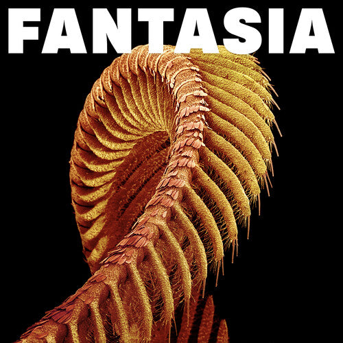 Slift - (PRESALE 6/5/26) Fantasia (YELLOW 2xVINYL) | Mint (M) Mint (M) - ALT/INDIE *NEW/COLOR*