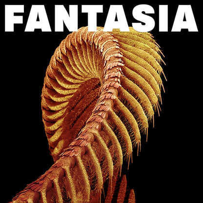 Slift - (PRESALE 6/5/26) Fantasia (YELLOW 2xVINYL) | Mint (M) Mint (M) - ALT/INDIE *NEW/COLOR*