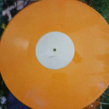 16/04/16 (OPAQUE ORANGE) | Mint (M) Mint (M)