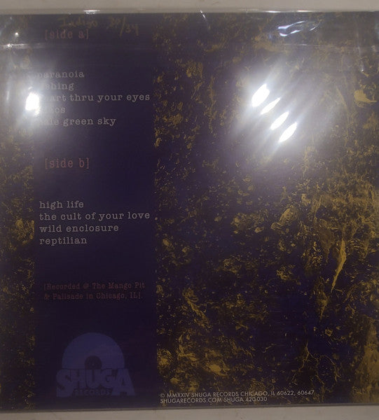 Dream Noise (INDIGO) | Mint (M) Mint (M) - ALT/INDIE *NEW/COLOR*