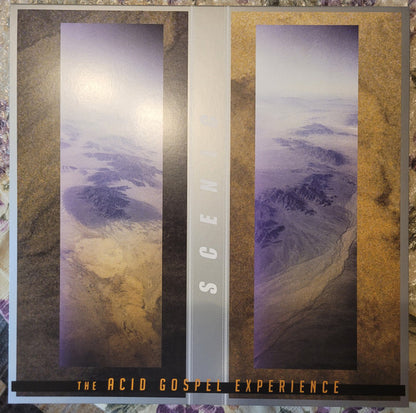 The Acid Gospel Experience (CLEAR 2xVINYL RSD) | - ALT/INDIE *NEW/COLOR*
