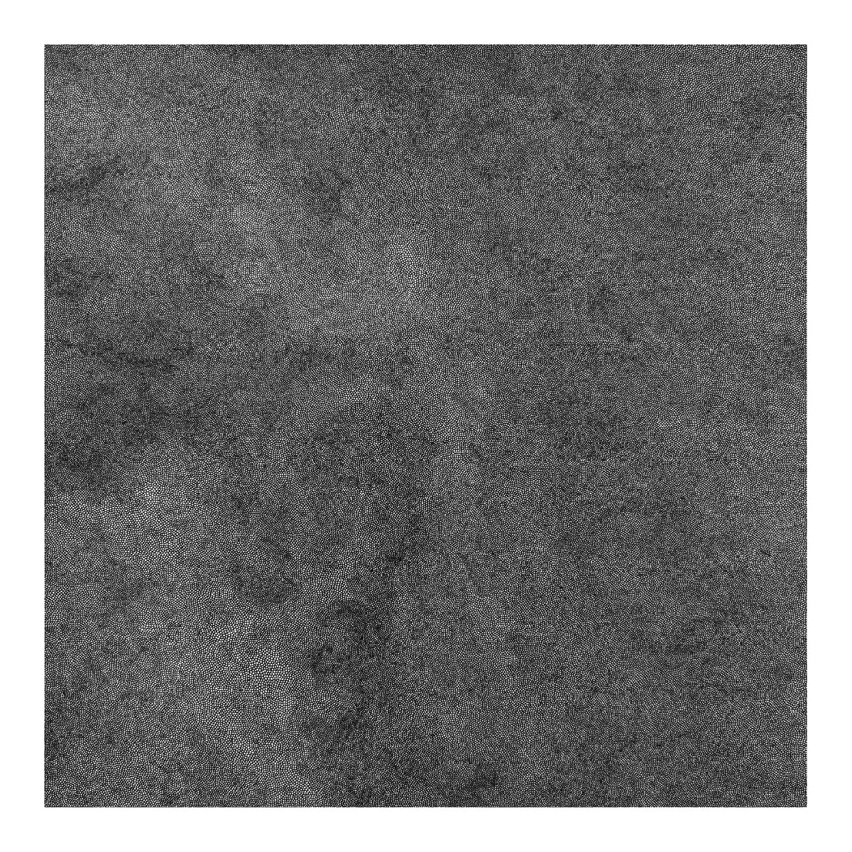 The & Cel Genesis Body - (PRESALE 11/13/26) Whole Wide World (IEX DDL CLEAR SMOKE VINYL LP) | NEW - ALT/INDIE *NEW/COLOR*