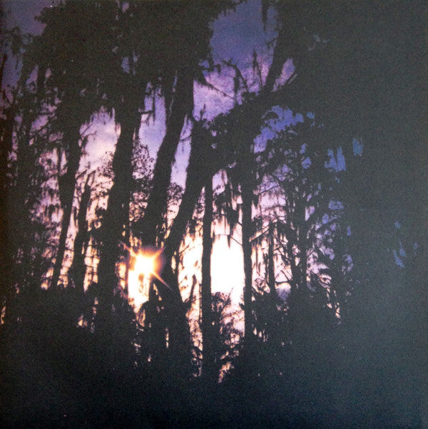 Bloom (VINYL)(2023) | Mint (M) Mint (M) - ALT/INDIE *NEW/SEALED*