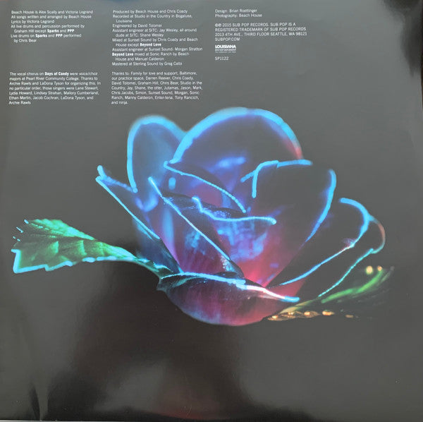Depression Cherry | Mint (M) Mint (M) - ALT/INDIE *NEW/SEALED*