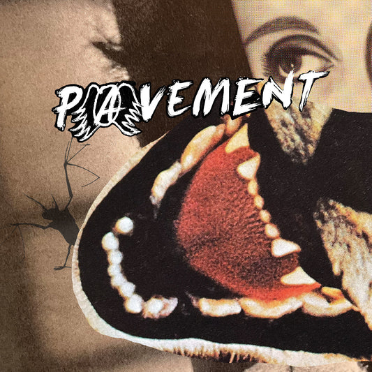 (PRE-ORDER 11/14/25) Hecklers Choice: Big Gums and Heavy Lifters - A Pavement Collection (VINYL) | Mint (M) Mint (M) - ALT/INDIE *NEW*