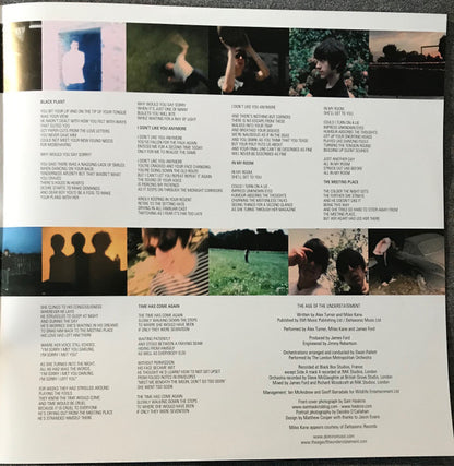 The Age Of The Understatement | Mint (M) Mint (M) - ALT/INDIE *NEW*