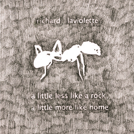 Richard Laviolette - (PRESALE 9/25/26) A Little Less Like A Rock, A Little More Like Home (VINYL LP) | NEW - ALT/INDIE *NEW*